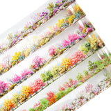 MiyouLuna 6 Rolls Transparent Floral and Botanical PET Tape Set, Landscape Stickers for Journaling, Scrapbooking, and DIY Crafts