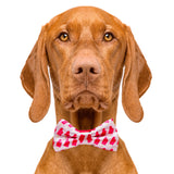 Cutie Ties Dog Bow Tie Ice Pops - 2 X 4 Premium Quality Bow Ties For Dogs - Fancy Dog Tie With Slip Over Elastic Bands - Cute Do