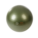 Natural Fitness Pro Burst Resistant Exercise Ball (Olive, 65cm/Medium )
