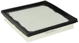 Wix 49049 Air Filter Panel