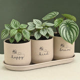 Eha EarthFriendly Printed Small Terrapod Planters With Tray For Home Decor | 3.5 Inch, Pack Of 3 | Plant Gifts Made With Rice H