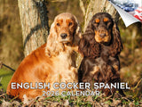 2025 2026 English Cocker Spaniel Calendar - Dog Breed Monthly Wall Calendar - 12 x 18 Open - Thick No-Bleed Paper - Giftable - A