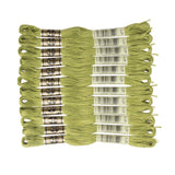 DMC 6-Strand Embroidery Cotton Floss, Very Light Avocado Green