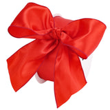 LIZLOVESS Red Satin Wired Ribbon 2.5 x 25 Yd, Red Wire Edge Decorative Ribbon for Wreaths Supplies, Crafts, Gift Wrapping, Baby 