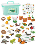 Life Cycle Animal Kit - 32 Piece Montessori Science Toy with Frog, Ladybug, Butterfly, Bee, Chicken, Turtle, Snail & Plant Figur