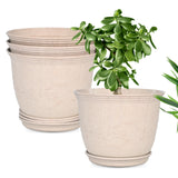 Eha Earth Friendly 10 Leafy Planter With Tray Made With Rice Husk, 4 Units