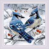 Riolis 1925 Blue Jays