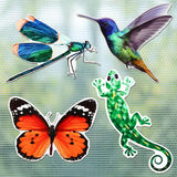 8 Pcs Screen Magnets Dragonfly Decorative Magnetic Flexible Double Sided Butterfly Hummingbird Gecko Door Magnets Holographic Fl