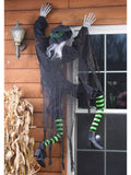 Morris Costumes Climbing Witch