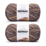 Bernat Symphony Brocade Yarn - 2 Pack of 225g/8oz - Wool Blend - 5 Bulky - 309 Yards - Knitting/Crochet