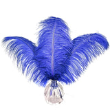Happy Feather 16-18 inch Royal Blue Ostrich Feathers Craft for Wedding Party Centerpieces Home Decoration DIY Craft Pack of 10