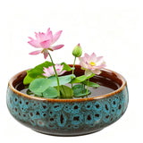 Vaguelly Hydroponic Plant Pot Ceramic Water Lily Narcissus Planter