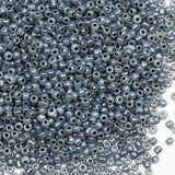 3mm Dark Grey Seed Beads for Jewelry Making 200 Grams About 6500pcs,8/0 Glass Craft for Making Earrings, Bracelets, Pendants, DI