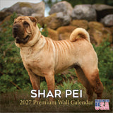 Shar Pei Calendar 2027 by MegaCalendars - Monthly Dog Breed Wall Calendar, Made in USA