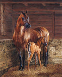 DAVID TEXTILES and God Created A Horse and Colt Cotton Panel, Size 36 X 44 AL 6229, Brown
