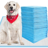 CALPALMY XL Pet Training Pee Pads (50-Count) - X-Large 28 x 34 Training Pad, Disposable Thicken Pee Pads for Dogs, Puppies, La