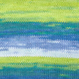 Premier Yarns Hipster Cotton Yarn, Ideal Yarn For Crocheting And Knitting, 100% Cotton And Lightweight Yarn, Machine Wash, Rainb