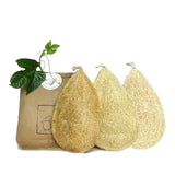 Miw Piw Natural Loofah Dish Sponge Pack 3 Vegetable Scrubber for Kitchen 100% Biodegradable Compostable Dishwashing Scouring Pa