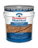 Thompsons WaterSeal Transparent Waterproofing Wood Stain and Sealer, Chestnut Brown, 5 Gallon