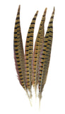 Femitu Touch of Nature Ringneck Pheasant Feathers 4/Pkg, Natural