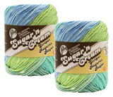 Bulk Buy: Lily Sugar n Cream 100% Cotton Yarn (2Packs) ~ Ombres, Scents, Stripes, Twists ~ 3 oz. Super Size Skeins (Country St