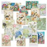 Current Susan Winget Studio All Occasion Value Pack With Seals - 40 Cards & Envelopes, Celebration, Get Well, Sympathy, Birthday