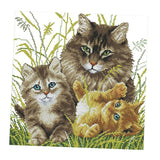 Zoomella Diy Needlwork Stamped Cross Stitch Embroidery Kit Cat Pattern 14Ct 34X34Cm|Crafts |Cross Stitch Kits