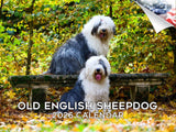 2025 2026 Old English Sheepdog Calendar - Dog Breed Monthly Wall Calendar - 12 x 18 Open - Thick No-Bleed Paper - Giftable - Aca
