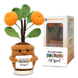 Handmade Emotional Positive Flower Crochet, Get Well Soon Gifts for Women, Mini Funny Doll Appreciation Gift Thank You Gift for 