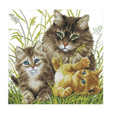 Enakshi Diy Needlwork Stamped Cross Stitch Embroidery Kit Cat Pattern 14Ct 34X34Cm