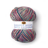(1 Skein) Lion Brand Yarn 512311 Summer Nights Bonus Bundle Yarn, Stargazing