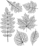 Tim Holtz Stampers Anon CLING RBBR STAMP SET PRSD FOLIA, Pressed Foliage