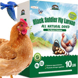 HATORTOP 10LB Dried Black Soldier Fly Larvae for Chickens - Non-GMO Insect Larvae Treats More Calcium Than Mealworms, High Prote