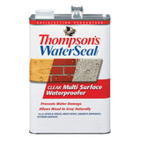 Thompsons WaterSeal MultiSurface Waterproofer Stain, Clear, 1 Gallon