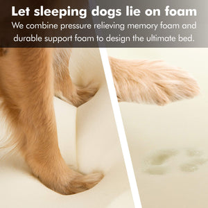 Friends Forever Small Dog Bed, Orthopedic Sofa Memory Foam Mattress, Calming Couch, Wall Rim Pillow, Water Resistant Liner, Wash