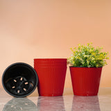 Livzing 6 Inch Plastic Flower Pots Self Watering Pot With Drain Holes Gamla Gardening Plant Pot For Home Decor Planters For Indo