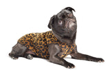 Goldpaw Stretch Fleece Dog Sweater - with Spandex for 4-Way Stretch - Soft, Comfortable Dog Coat - Machine Washable - Made in the USA - Leopard - Size 12
