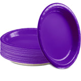 Amcrate Paper Dinner Plates Purple, 8 1/2 Inches Paper Plates Disposable, Strong and Sturdy Disposable Plates for Party, Dinner,