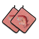 Caroline'S Treasures Strawberry Snapper Pair Of Pot Holders 8351Pthd, 7.5Hx7.5W, Multicolor