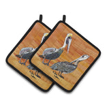 Caroline'S Treasures Pelican Pair Of Pot Holders 8407Pthd, 7.5Hx7.5W, Multicolor