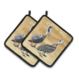 Caroline'S Treasures Pelican Pair Of Pot Holders 8408Pthd, 7.5Hx7.5W, Multicolor