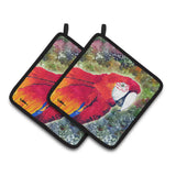 Caroline'S Treasures Parrot Head Pair Of Pot Holders 8603Pthd, 7.5Hx7.5W, Multicolor