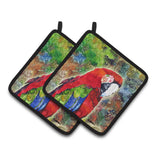 Caroline'S Treasures 8606Pthd Bird Parrot Pot Holders (1 Pair), 7.5 X 7.5, Multicolor