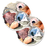 Caroline'S Treasures Sea Shells Set Of 2 Cup Holder Car Coasters 8619Carc, 2.56, Multicolor