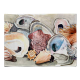 Caroline'S Treasures 8619Plmt Shell Fabric Placemat, Multicolor