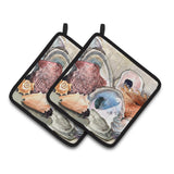 Caroline'S Treasures 8619Pthd Sea Shells Pot Holders (1 Pair), 7.5 X 7.5, Multicolor