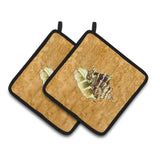 Caroline'S Treasures Shell Pair Of Pot Holders 8658Pthd, 7.5Hx7.5W, Multicolor