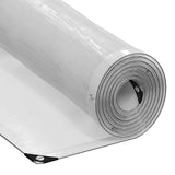 vidaXL Clear Tarpaulin with Eyelets 9.8x16.4 Polyethylene