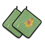 Caroline'S Treasures Gerber Daisy Orange Pair Of Pot Holders 8854Pthd, 7.5Hx7.5W, Multicolor