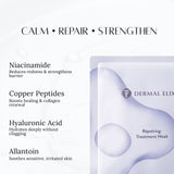 Repairing Treatment Mask